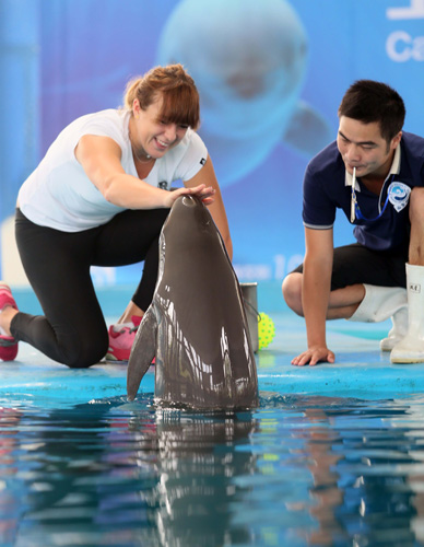 这个决定依 这个决定依