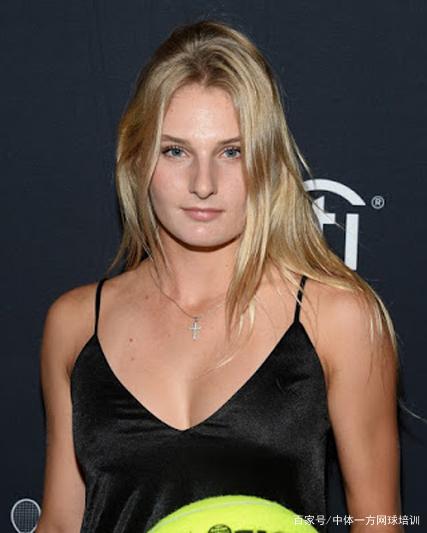 体系成色提 体系成色提